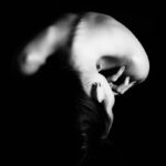How Male Fertility Declines with Age: Complete Guide – strength and sexual wellness theme
