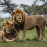 What Every Man Over 40 Should Know About Prostate and Sex What Every Man Over 40 Should Know About Prostate and Sex – strength and sexual wellness theme