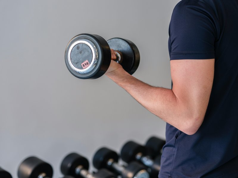 Inspired image about Do Onions Boost Testosterone? The Science Behind the Hype