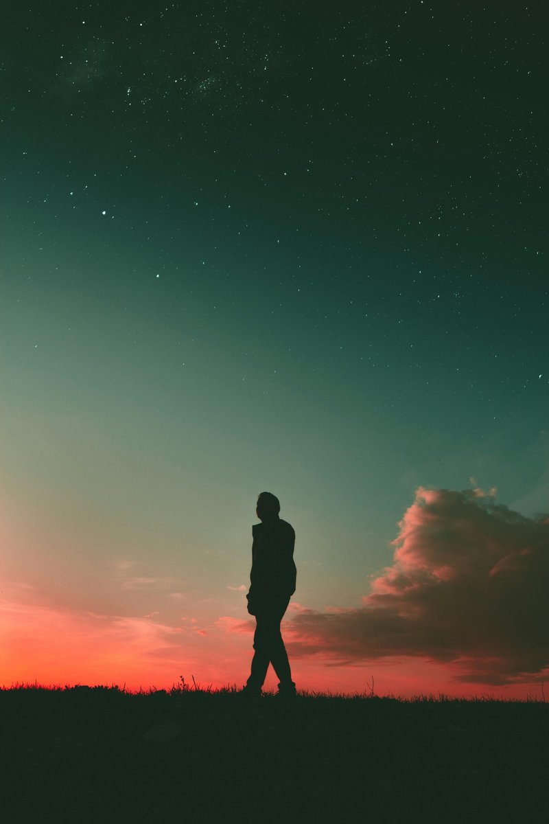 Therapy Bro Summer Meets SupremePenis: Full Power Upgrade – masculine growth symbolism